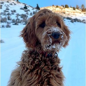 Meet your Posher, Jennieven